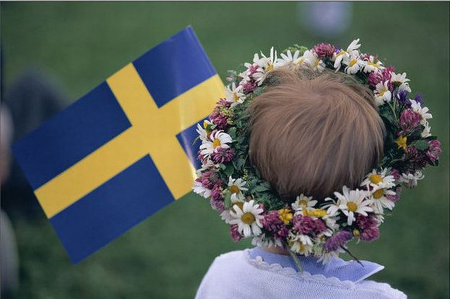 Tüdrukuke Rootsi lipuga