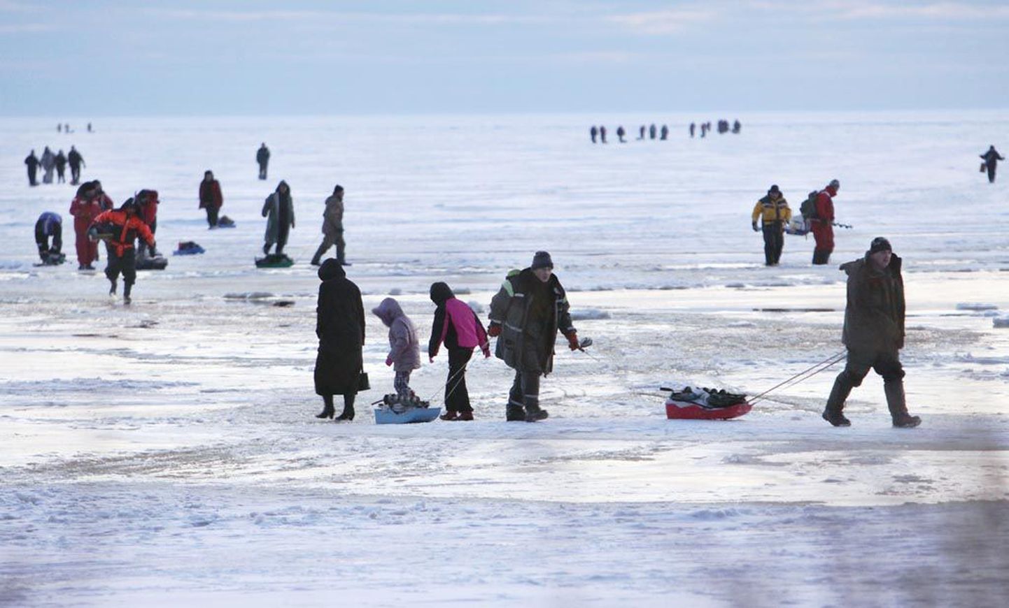 Pärnu lahe jääle trügib hordide kaupa kalamehi kogu Eestist ja piiri tagantki. Nagu kinnitati piirivalveametist, piisab 15 sentimeetri paksusest jääst, et neid kõiki kanda. Kuni nad autodega jääle ei tüki.