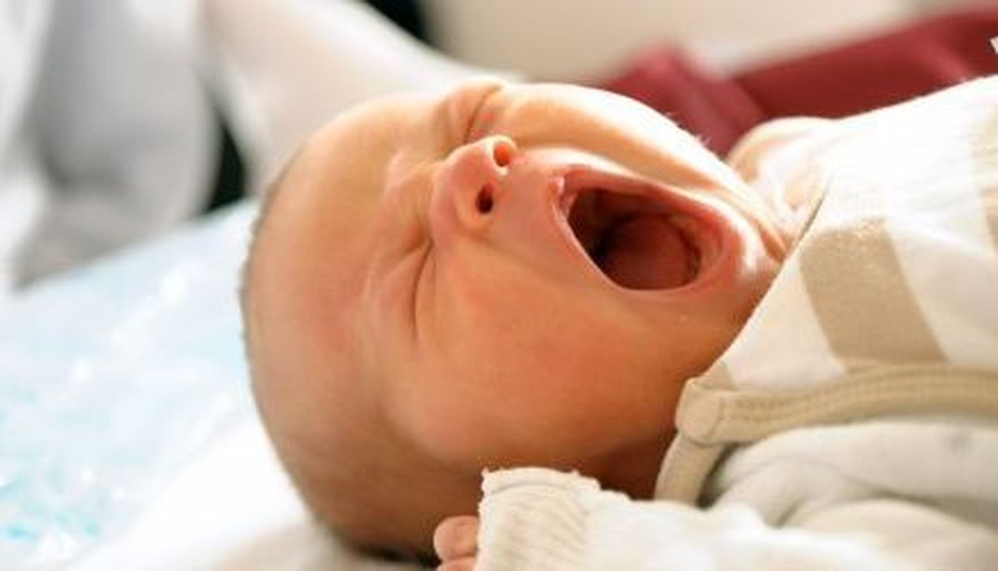USA Philadelphia fotograaf Dan Cueller tegi imikutest fotosid, kui nad olid just magama jäänud