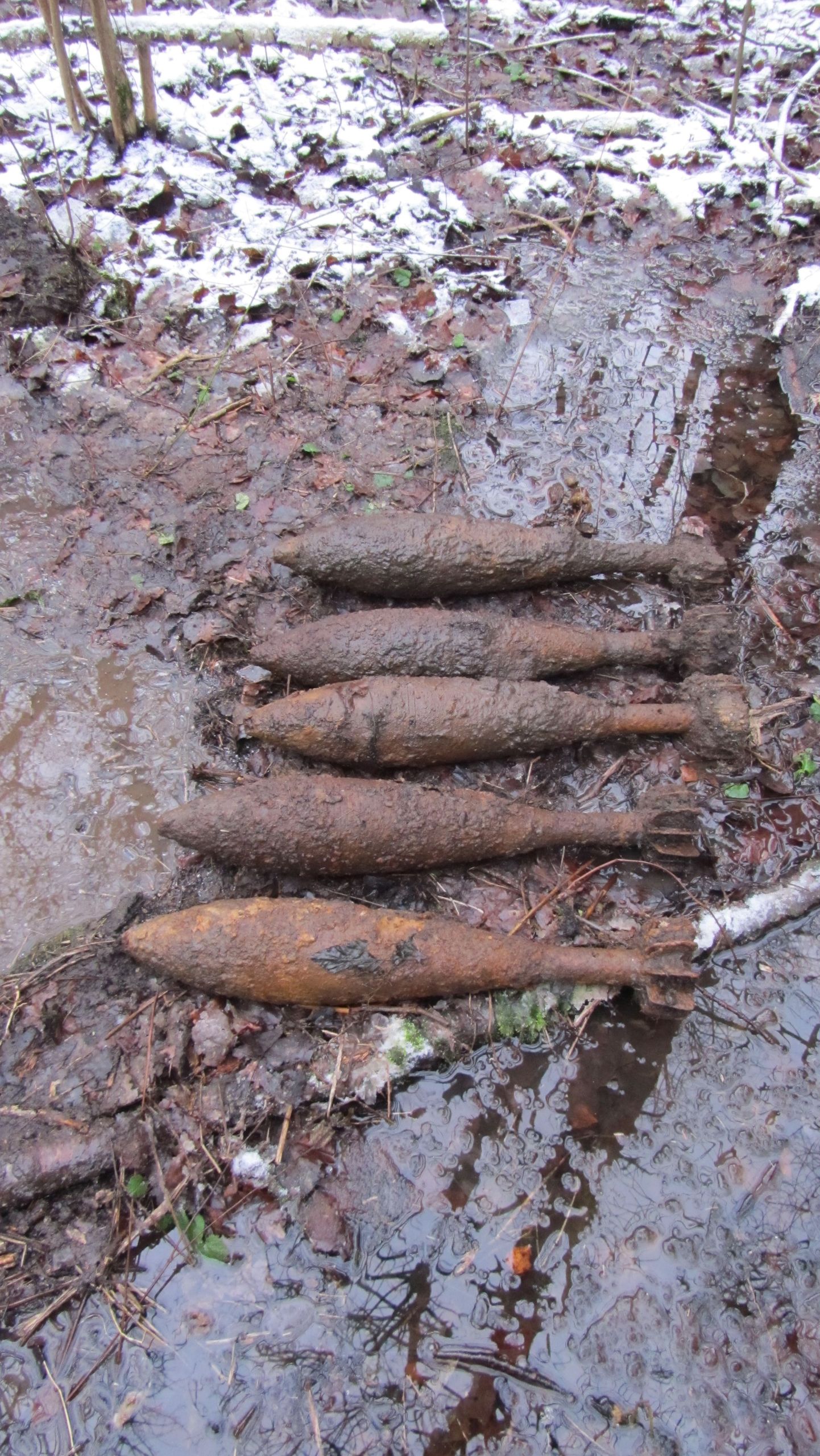 Saaremaal Salme vallas asuva Viieristi küla metsast eile avastanud kuus 120 millimeetrist miini.
