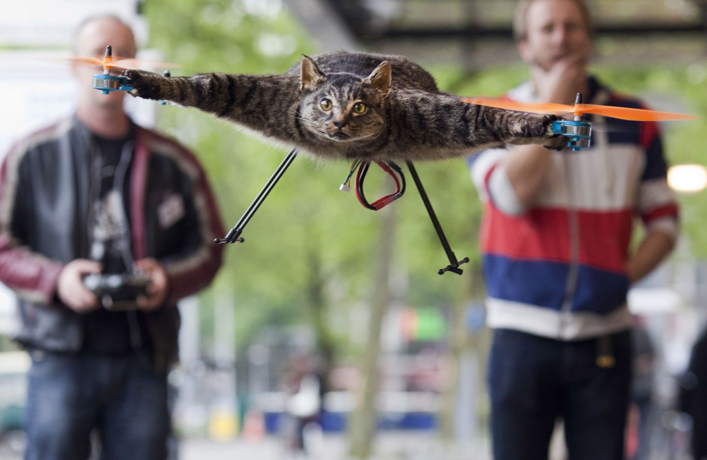 Bart Janseni loodud kassist tehtud droon.
