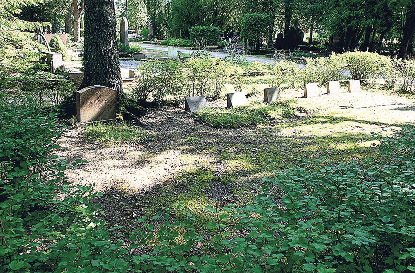 Jaan Tõnissoni ostetud hauaplatsil Raadi kalmistul on tagasihoidlik kujundus. Seal puhkavad mitmed pereliikmed.