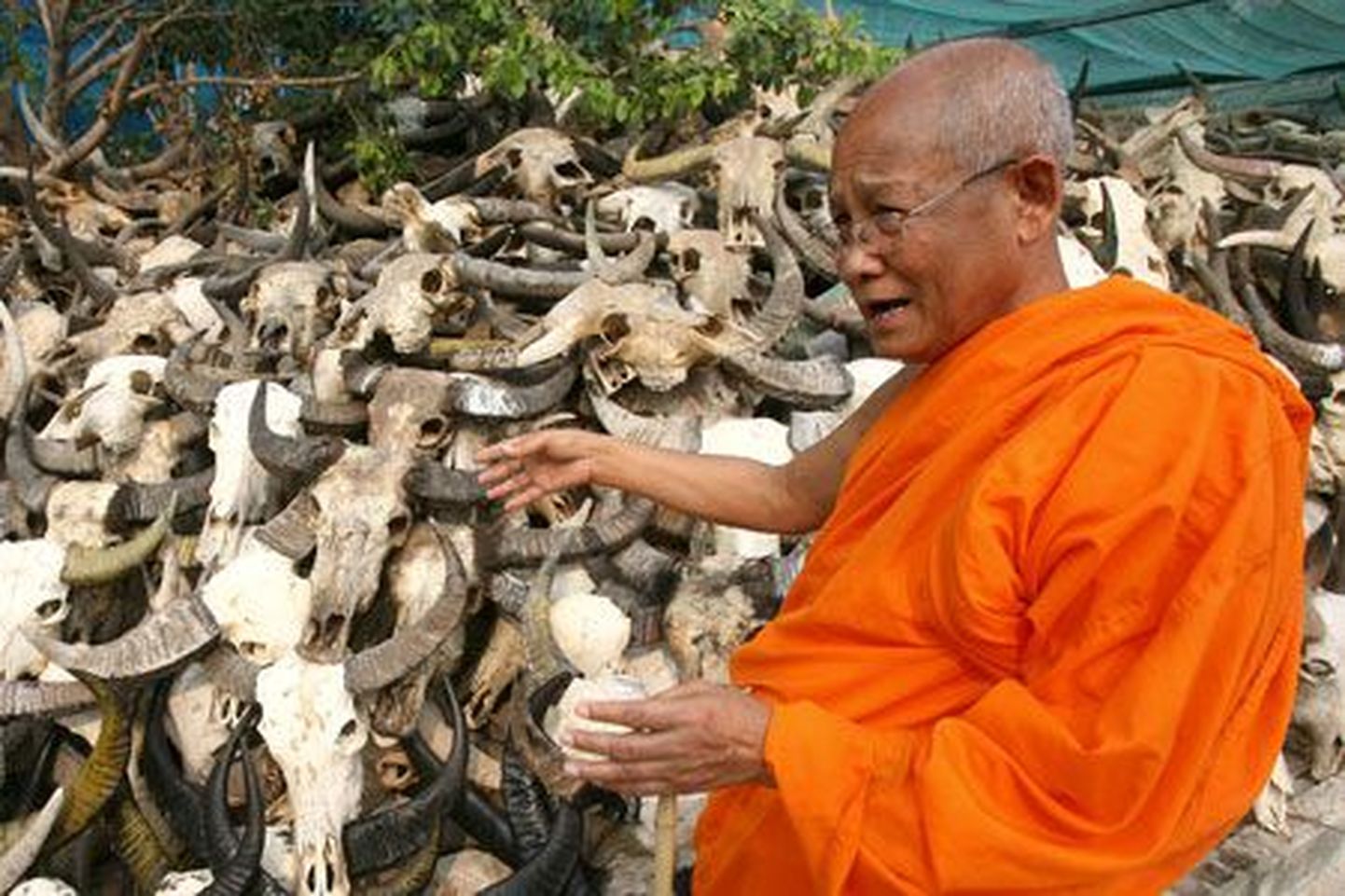 Buda munk Phra Khru Wiboonpattankit koos pühvlipealuudega
