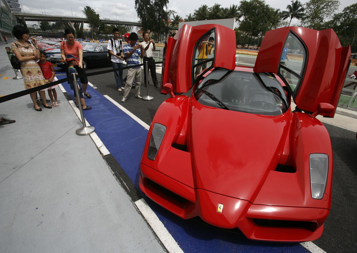 Ferrari Enzo Singapuri näitusel.