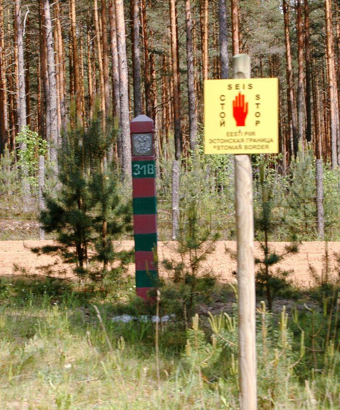 Eesti-Vene piir Setumaal Võmmorski lähedal.