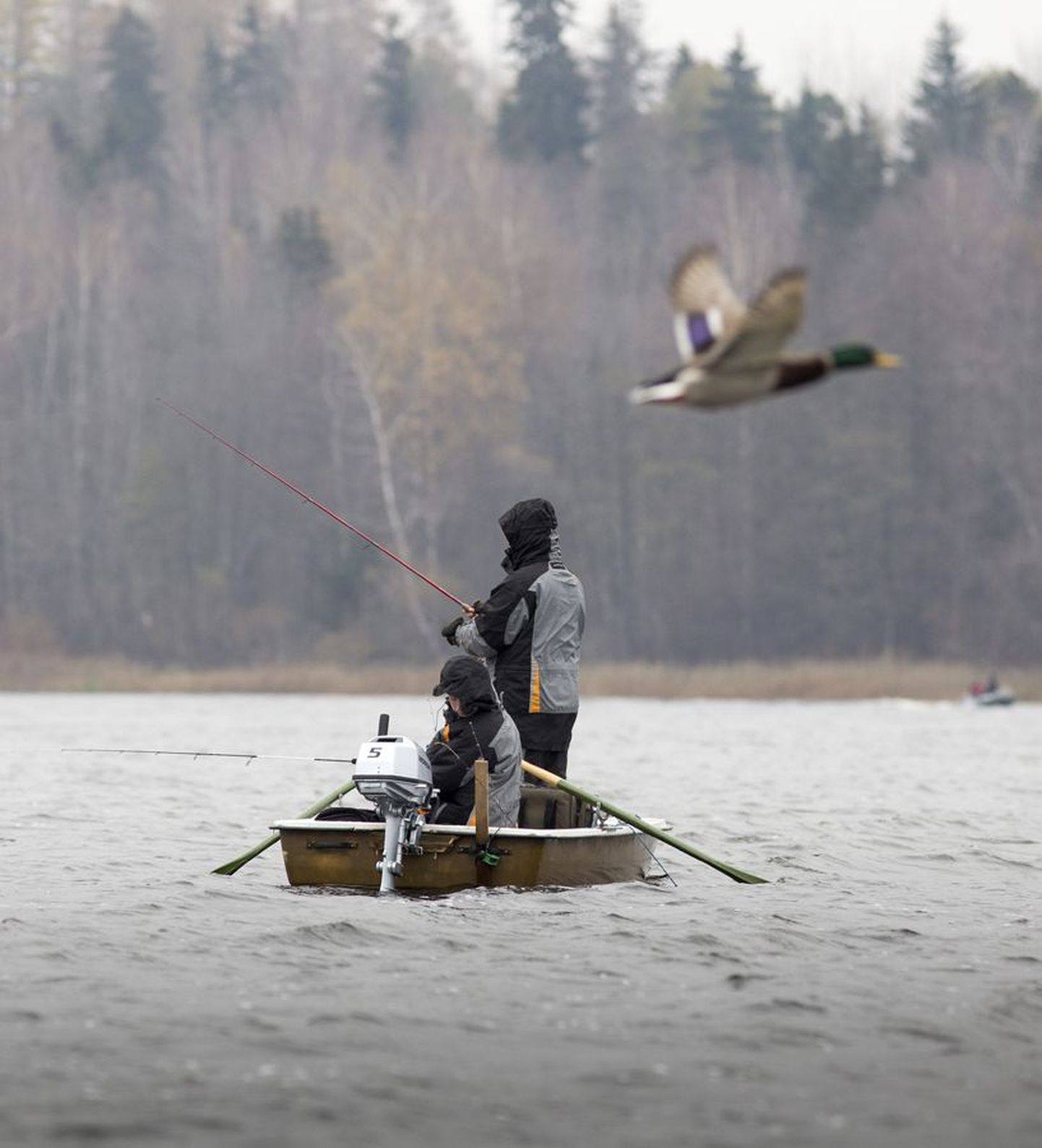 Spinningutega on Viljandi järvel võistu püütud varemgi, aga harrastuskalastajate maailmameistrivõistlusi pole Eestis varem peetud. Pilt on tehtud mullu oktoobris.