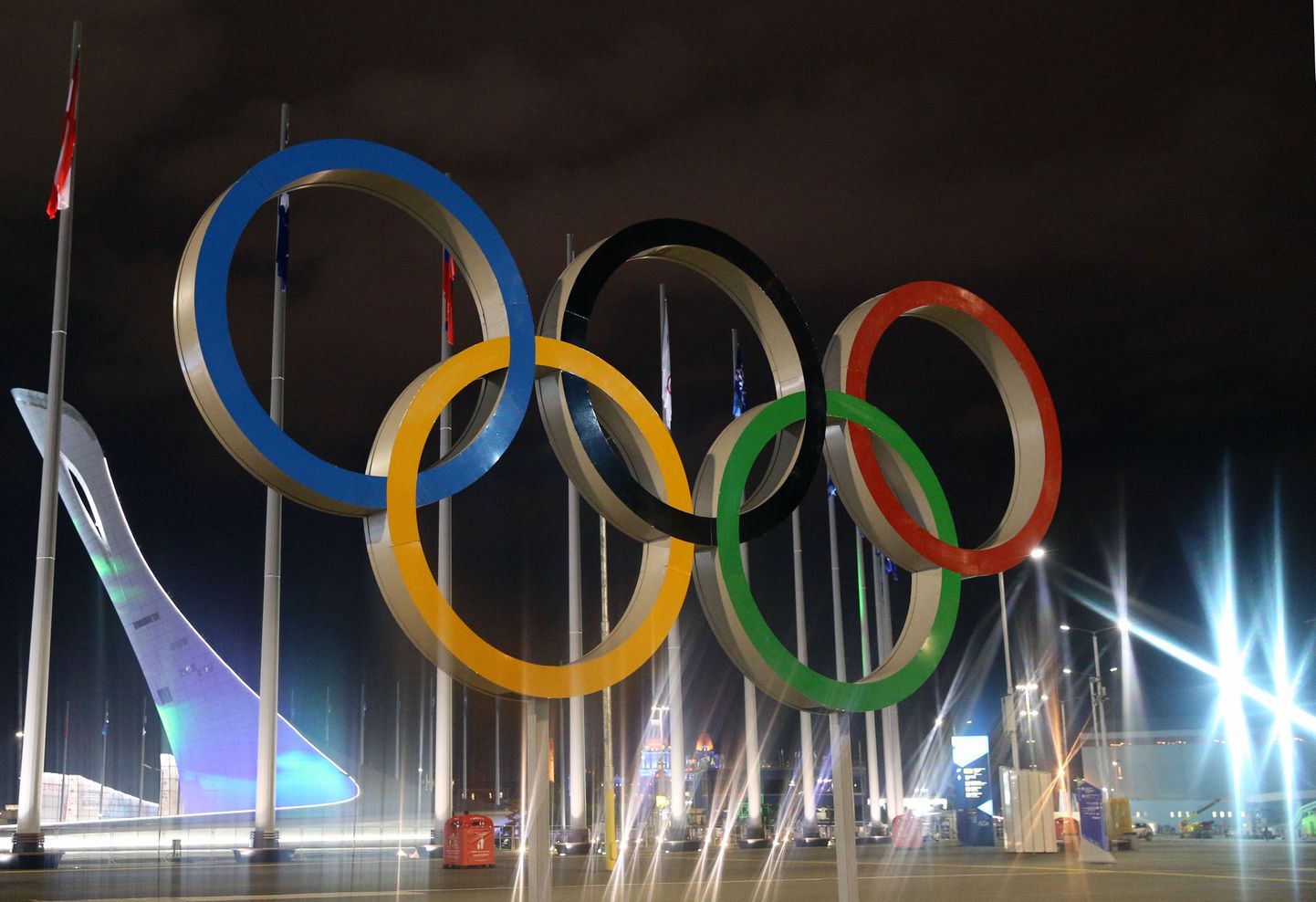 Олимпийские кольца в Сочи.