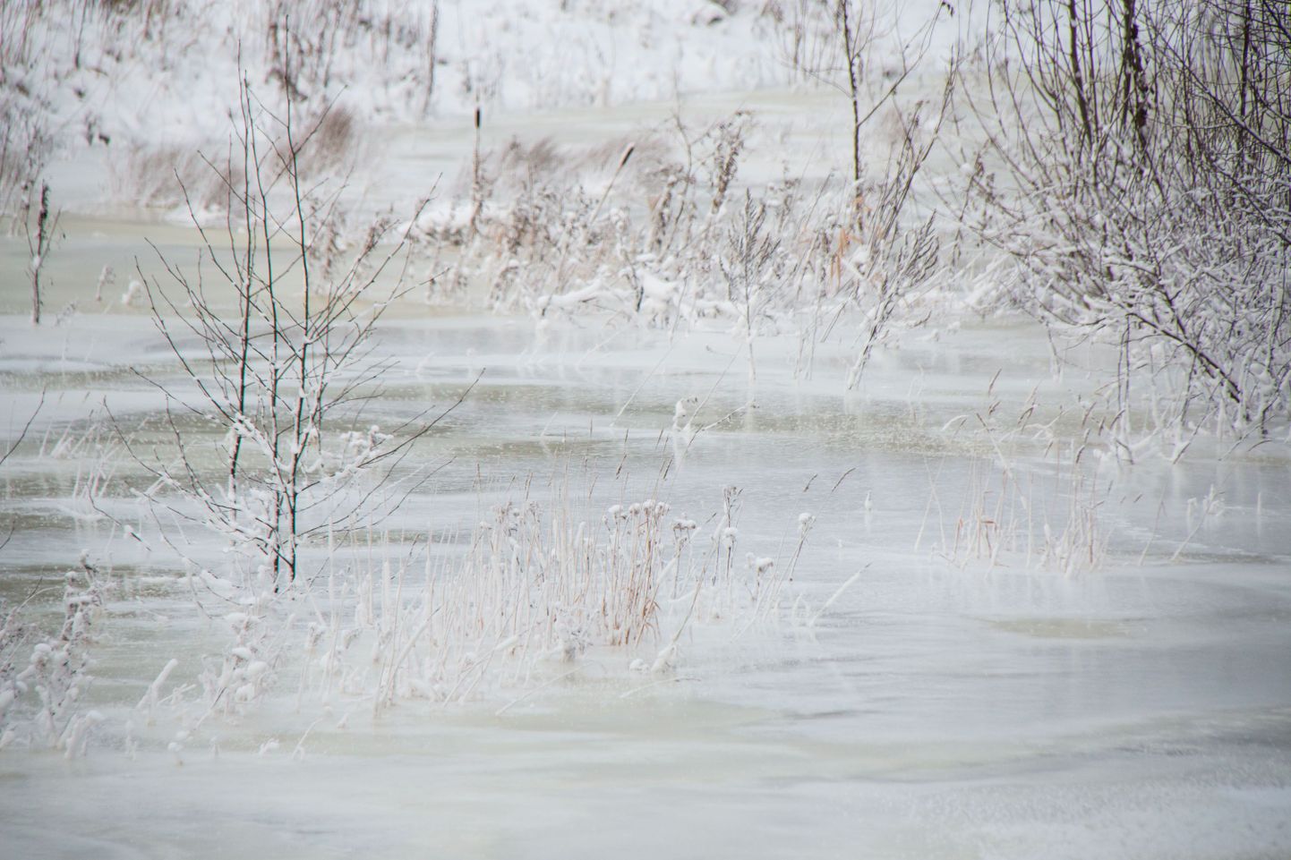 külmunud jõgi. Foto on illustratiivne