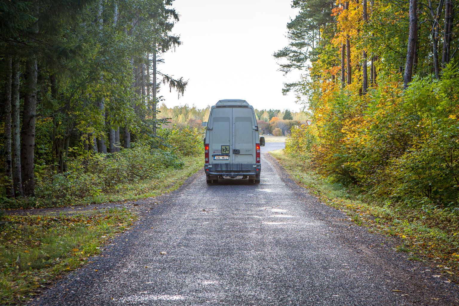 Buss.