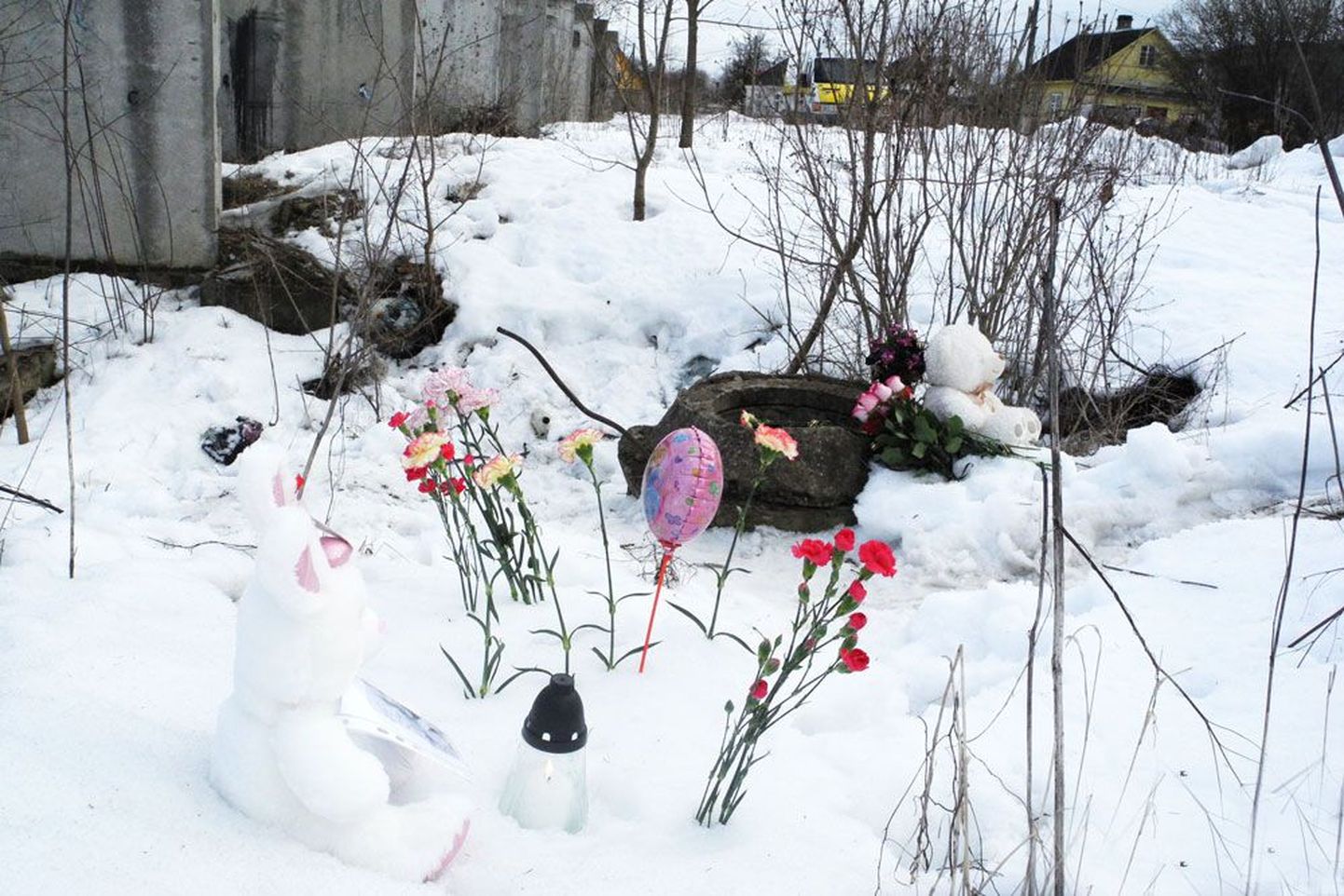 Varvara Ivanova leiti lumisest kraavist vana betoonkonstruktsiooni juurest, mõne meetri kaugusel Proletariaadi tänavast. Päris lähedal asuvatest eramajadest loodetakse leida pealtnägijaid. Eile tõid narvalased väikese tüdruku leidmiskohale lilli, küünlaid ja mänguasju.