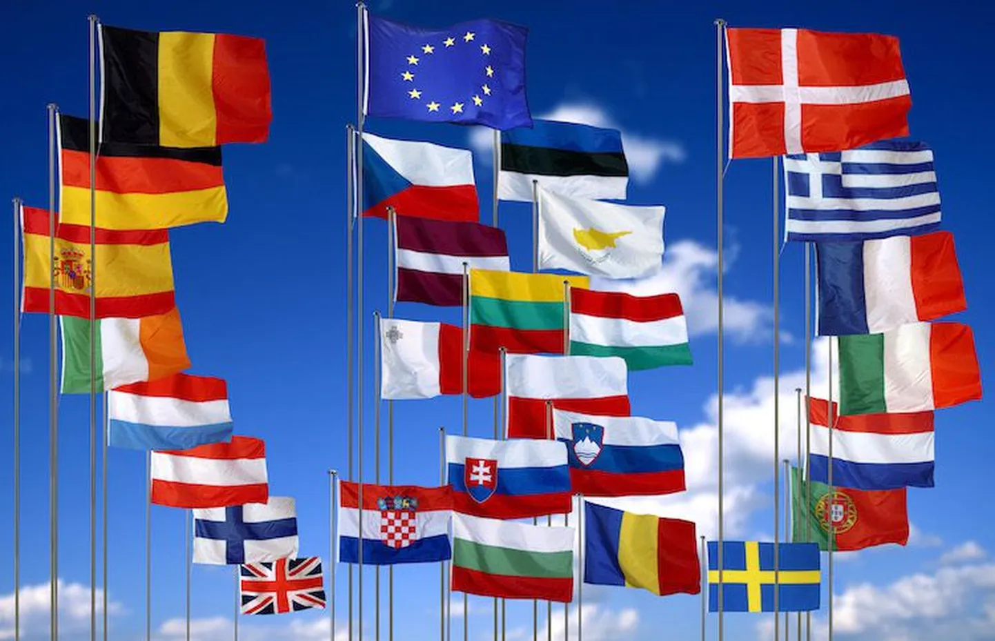 Euroopa Liidu ja selle liikmesriikide lipud.