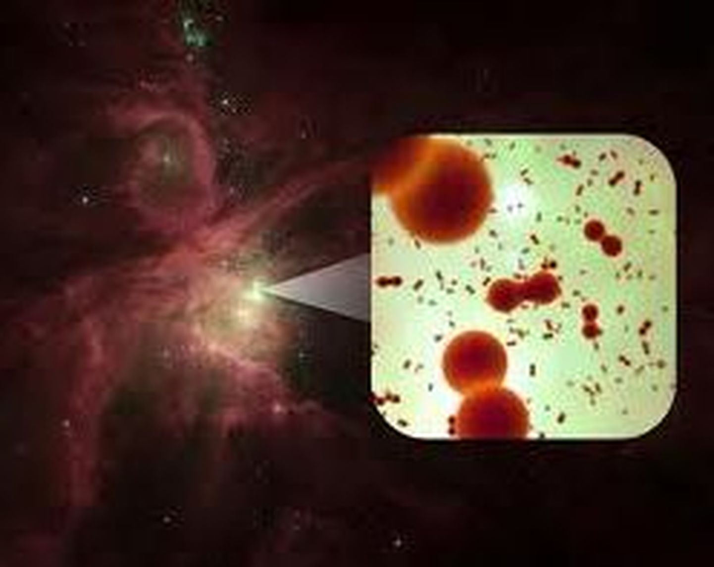 Herscheli kosmoseobservatooriumi teleskoobi ja infarpunadetektorite abil saadi kinnitus, et Orioni udukogus on hapnikumolekule