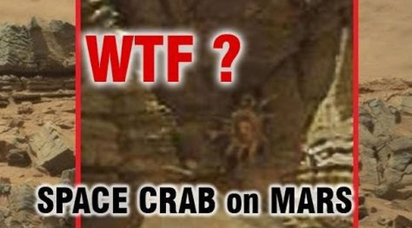Marsilt leiti «krabi»?