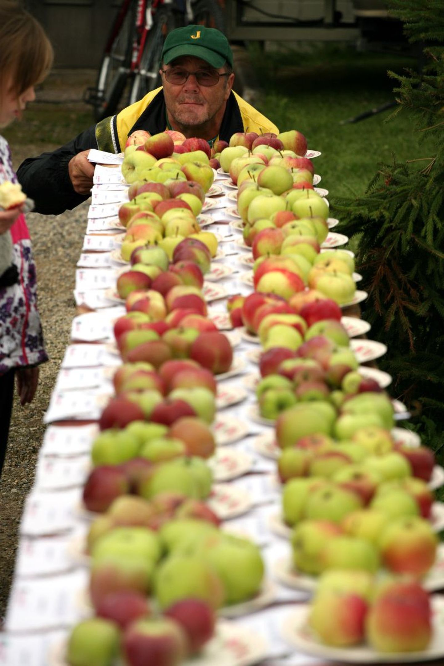 Türi õunafestival