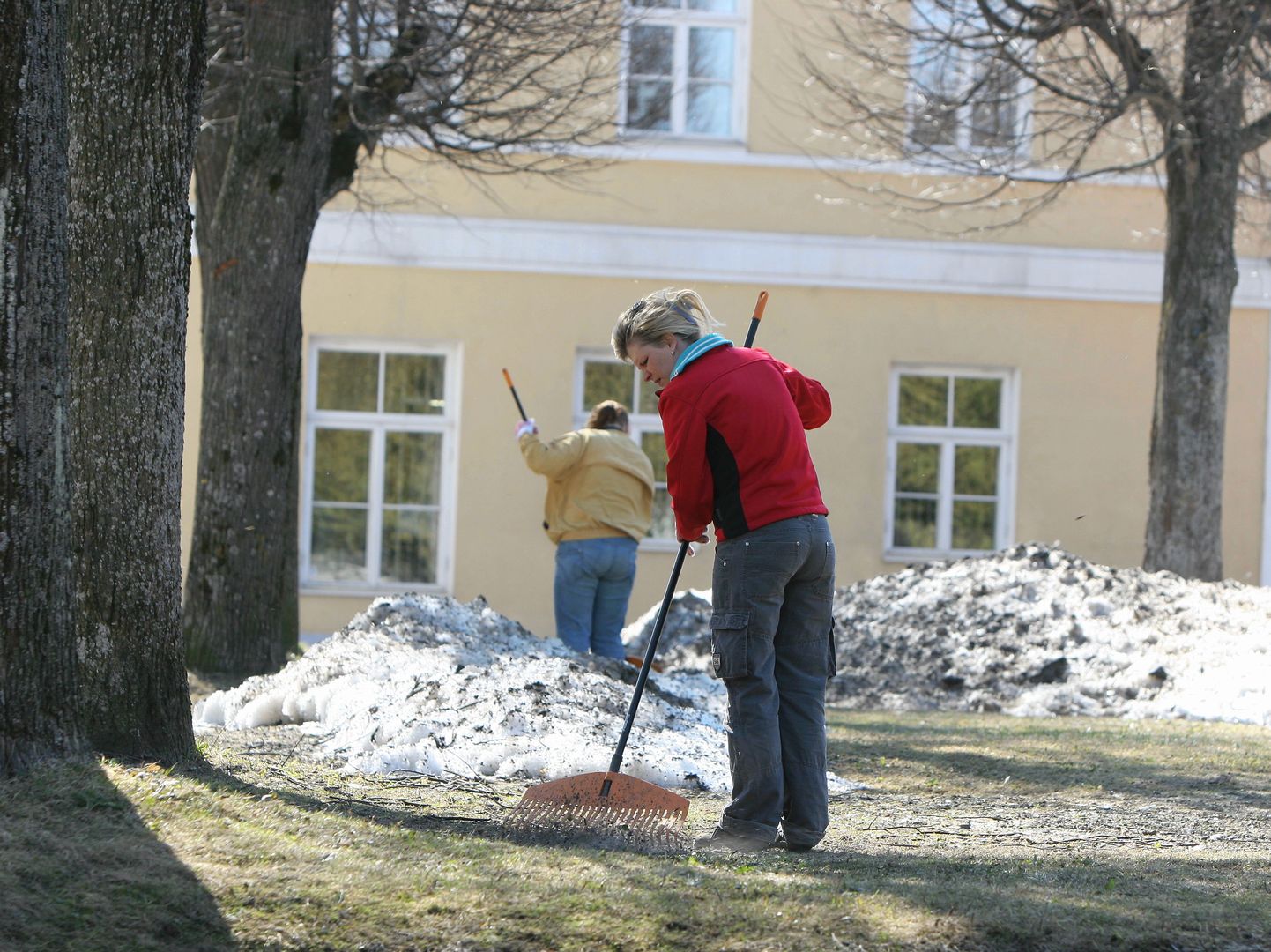 Linnavalitsuse majandusamet kutsub linlasi kevadises koristamises kaasa lööma.