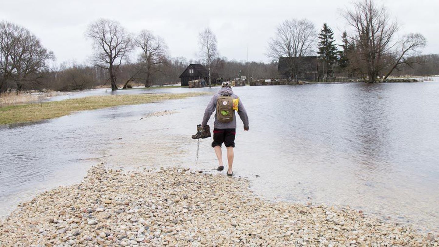 «Pole hullu!» hüüdis 16-aastane Tim Korts läbi jääkülma vee maakodu poole kahlates.
