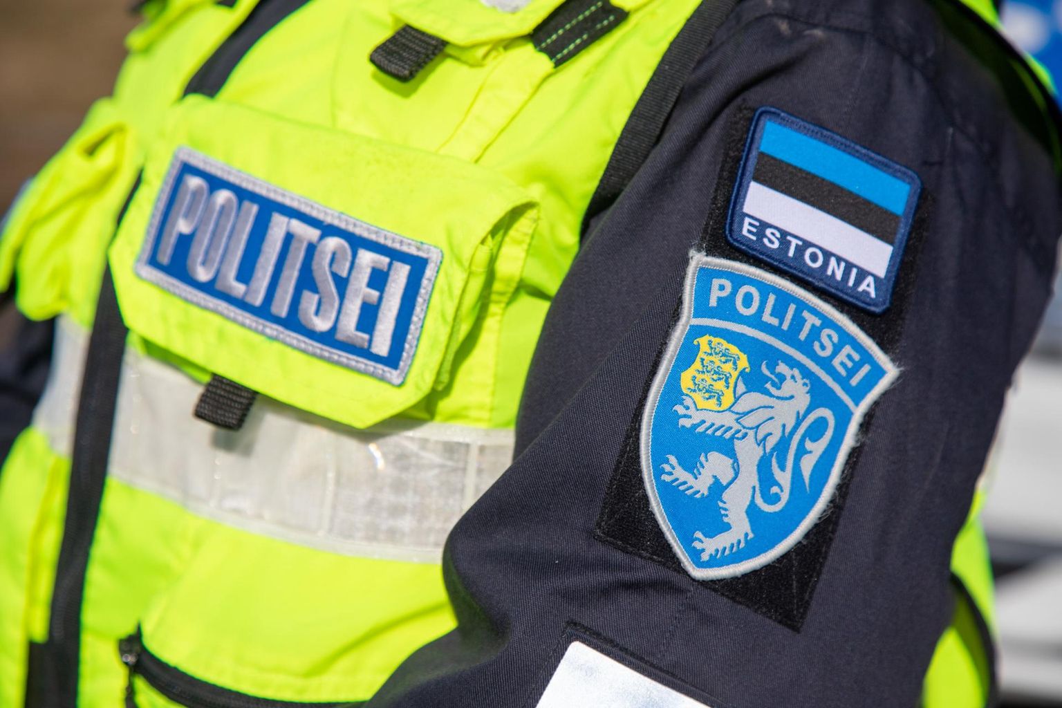 Kesklinna politseijaoskonna patrulltalituse juht Taavi Kirss selgitas juhtunut korrakaitsjate vaatepunktist: «8. oktoobril märkas Kesklinna politseijaoskonna patrull Sikupilli kaubanduskeskuse parklas sõiduautot Ford, mis oli pargitud parkimiskohtade vahele kohas, mis on ette nähtud transpordivahendite läbisõiduks. Sõiduki juures viibis mees, keda politseinikud palusid parkida sõiduk korrektselt.»