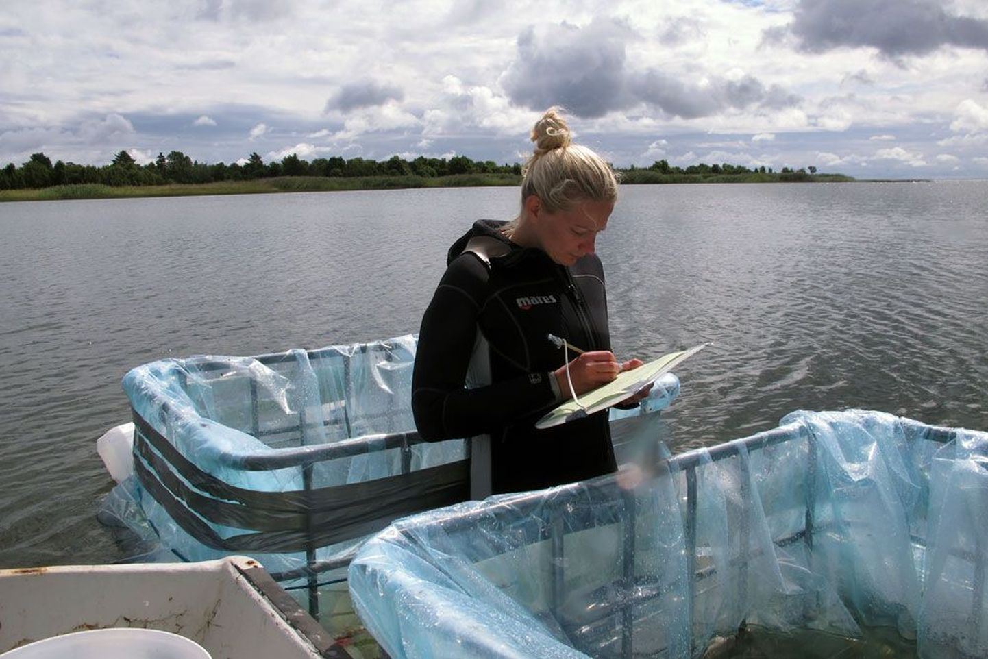 Tartu Ülikooli doktorant Liina Pajusalu rajas Saaremaa lõunarannikule katsevannid erineva pH-tasemega ning mõõtis hiljem laboris erinevates tingimustes kasvanud vetikate fotosünteesimise kiirust. Tulemused annavad alust arvata, et happelisem merevesi soodustab eutrofeerumist.