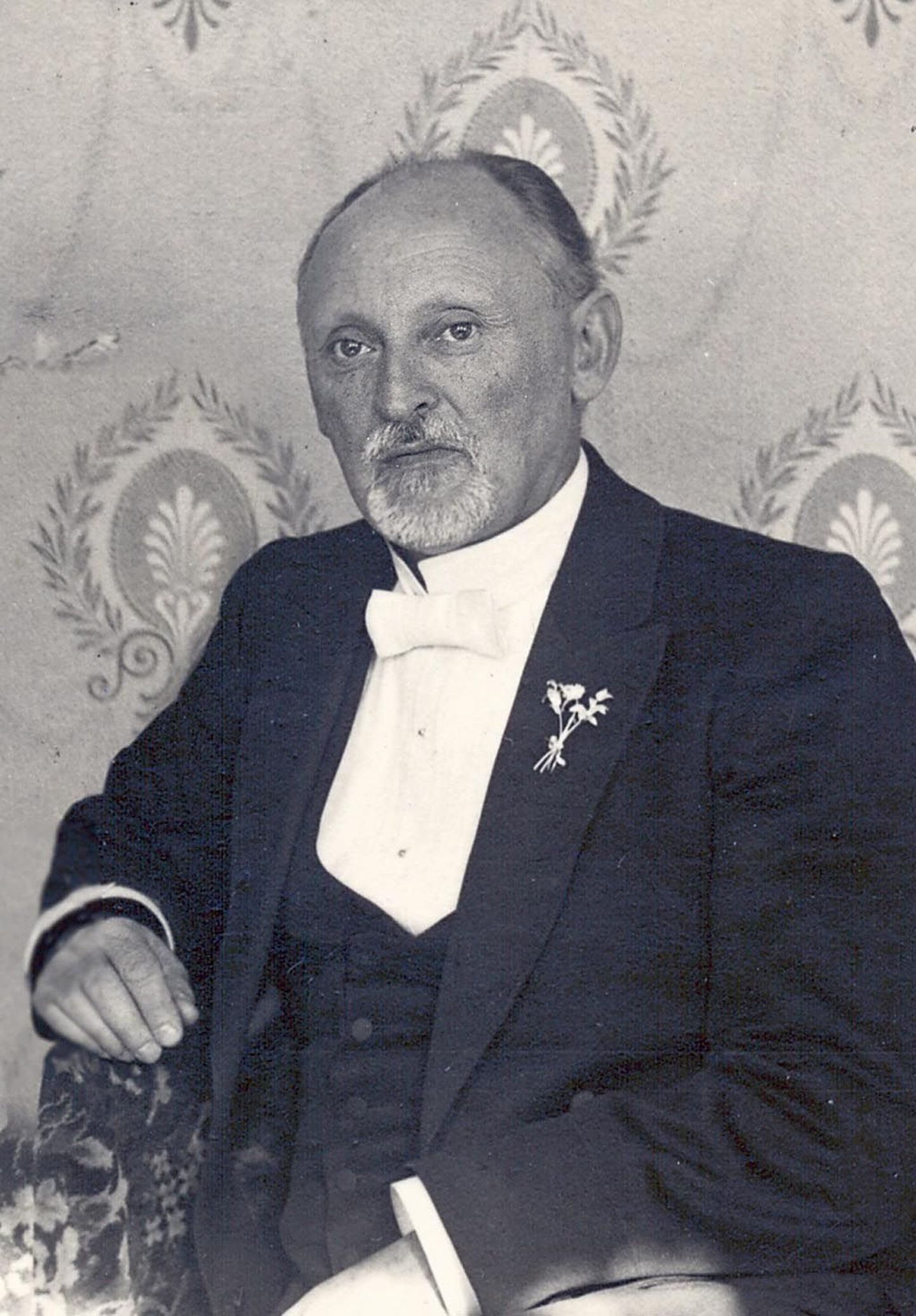 Vandeadvokaat Jaan Leesmendi osaks langes juhtida esimese eestlasest linnapeana Pärnut keerulisel poliitilisel ajal 1917-1918, mil võim korduvalt vahetus.