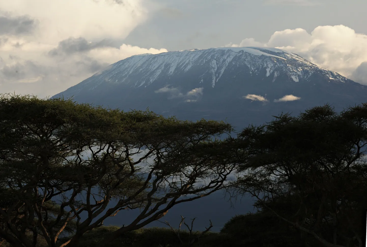 Kilimandžaaro