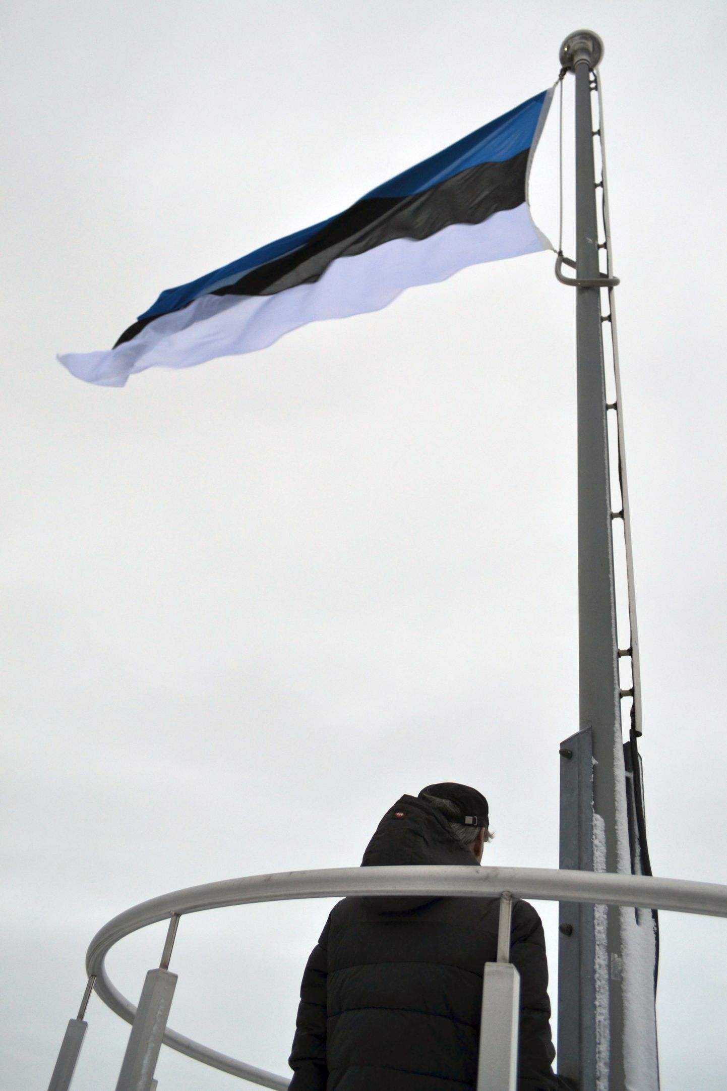 Sinimustvalge lipu heiskamine Toompeal 24. veebruaril 2016.
