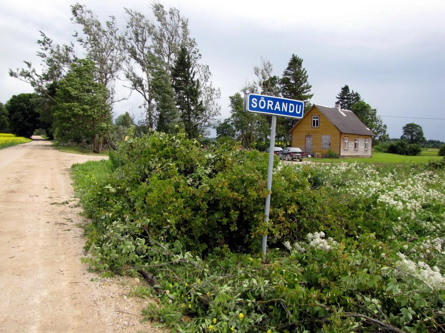 Torm räsis Järvamaal Koigi vallas Sõrandu küla.