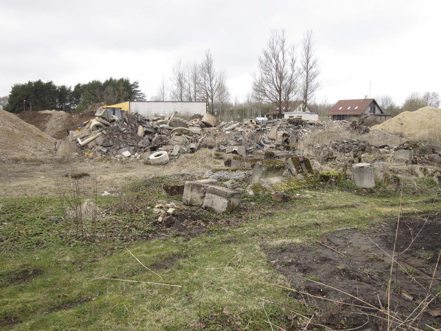 Viljandi Veevärk ja Lina tänava elanikud leidsid maharaiutud puudest tekkinud konfliktile lahenduse.