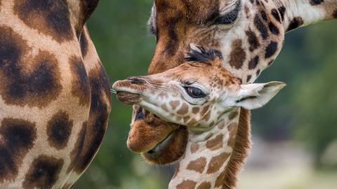 ����: rus.postimees.ee