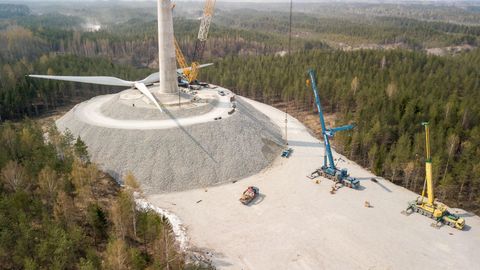 Фото: rus.postimees.ee