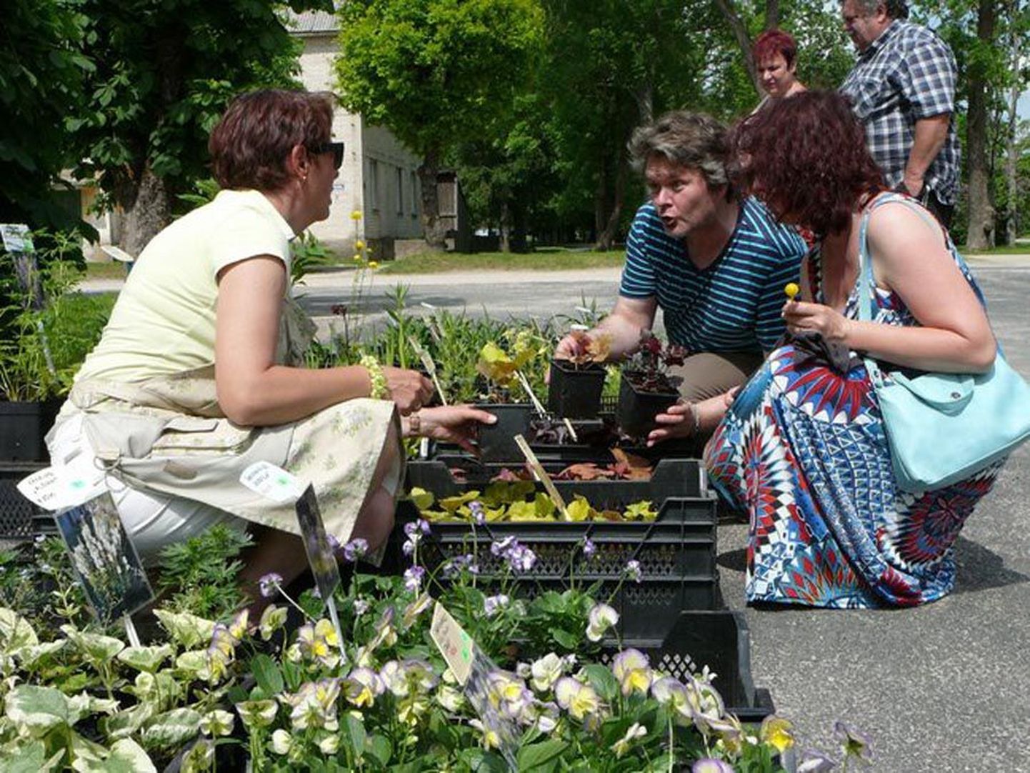 Lillelaadale oodatakse müüjaid ka mujalt Eestist.