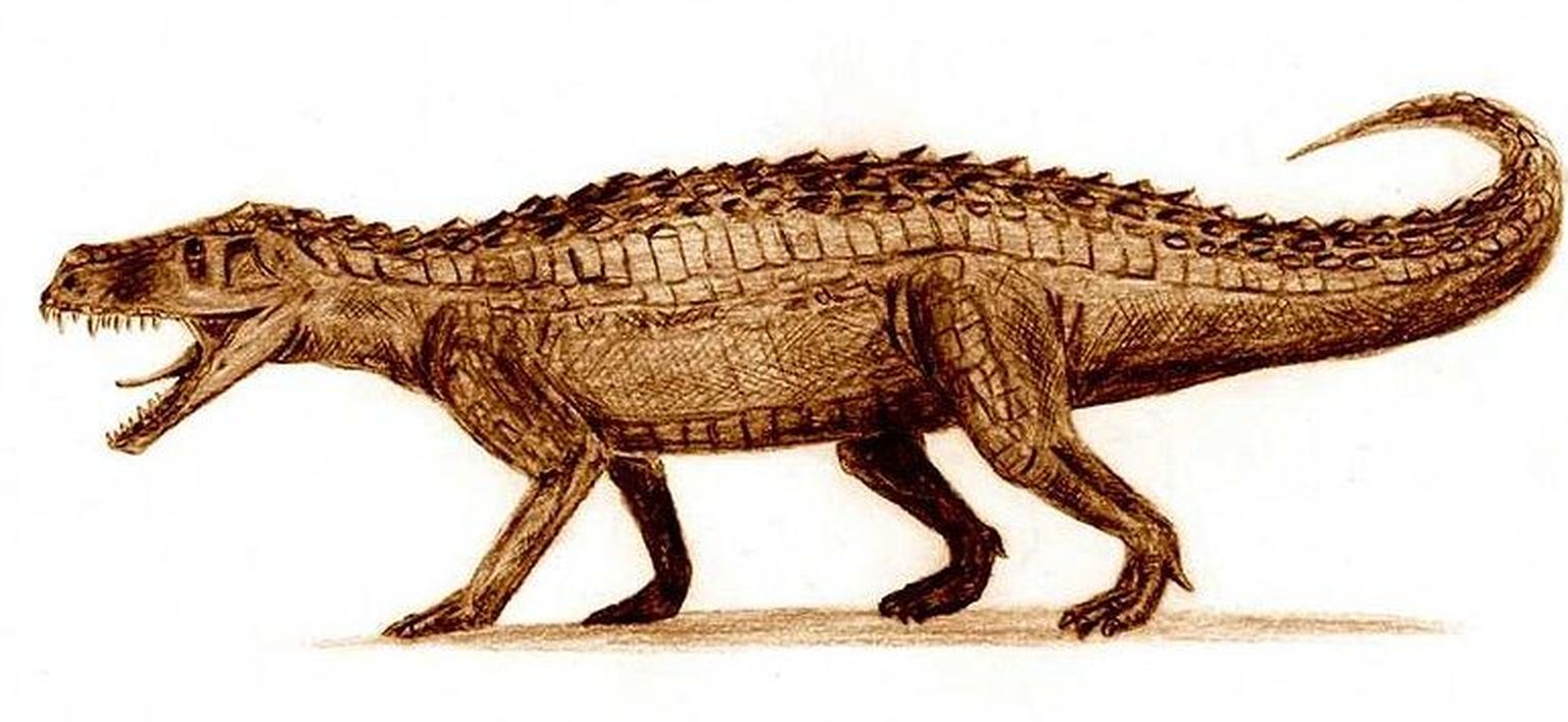 Kunstniku nägemus Prestosuchus chiniquensis´est