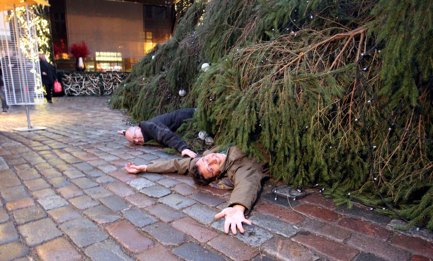 Kuusk Tallinna Raekoja platsil kukkus ümber. Inimesed juhtunus kannatada ei saanud, pildil teevad turistid nalja.