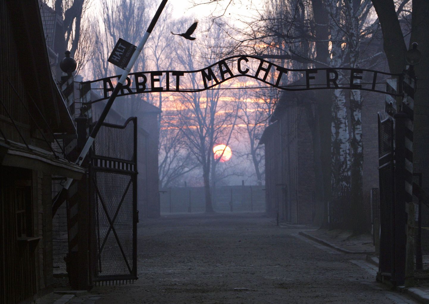 Saksa õpetaja tegi Auschwitzis ebaseaduslikke väljakaevamisi