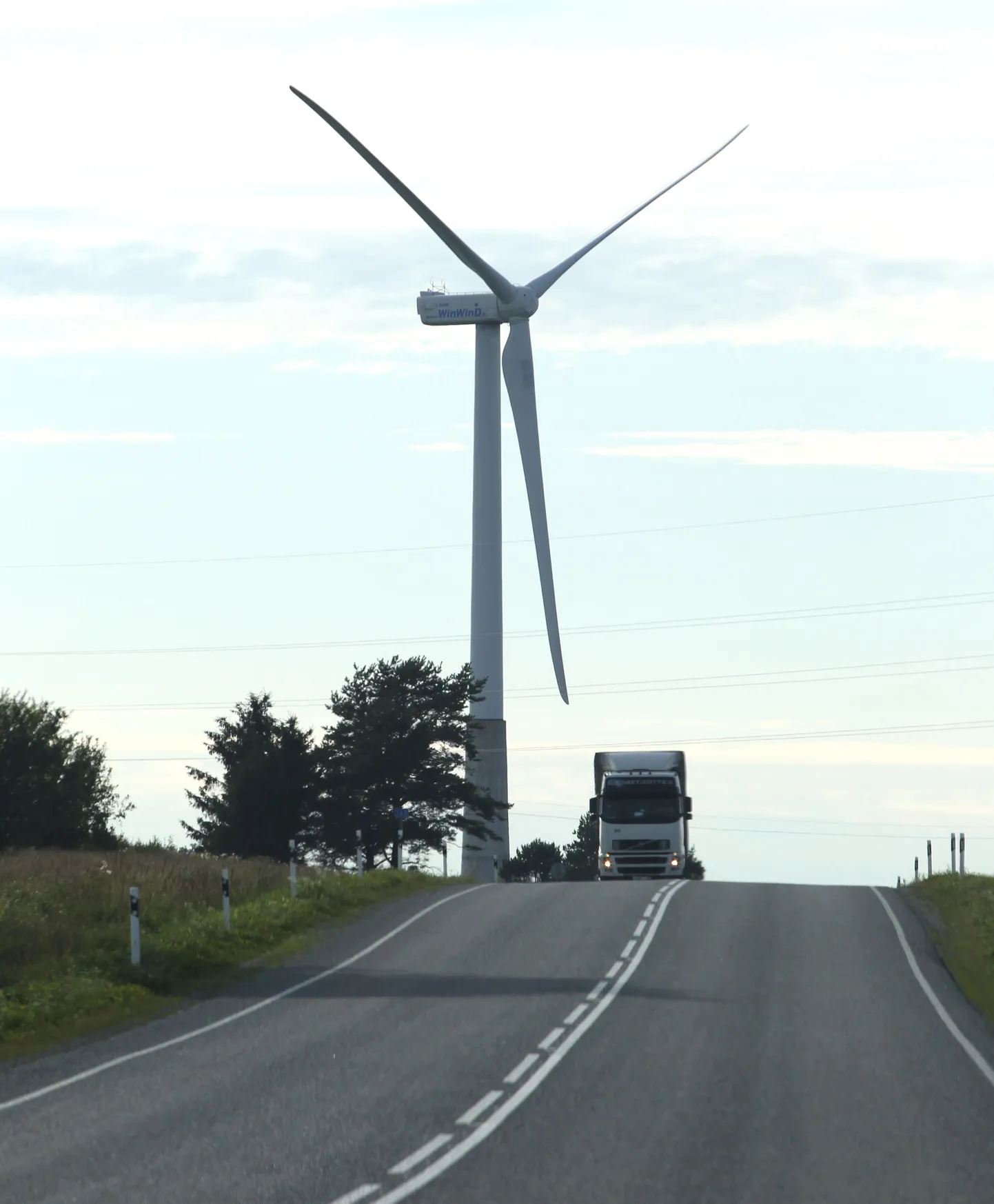 Hiinlased tahavad Eestis investeerida eelkõige puidupelletite ja tuuleenergia seadmete tootmisse.