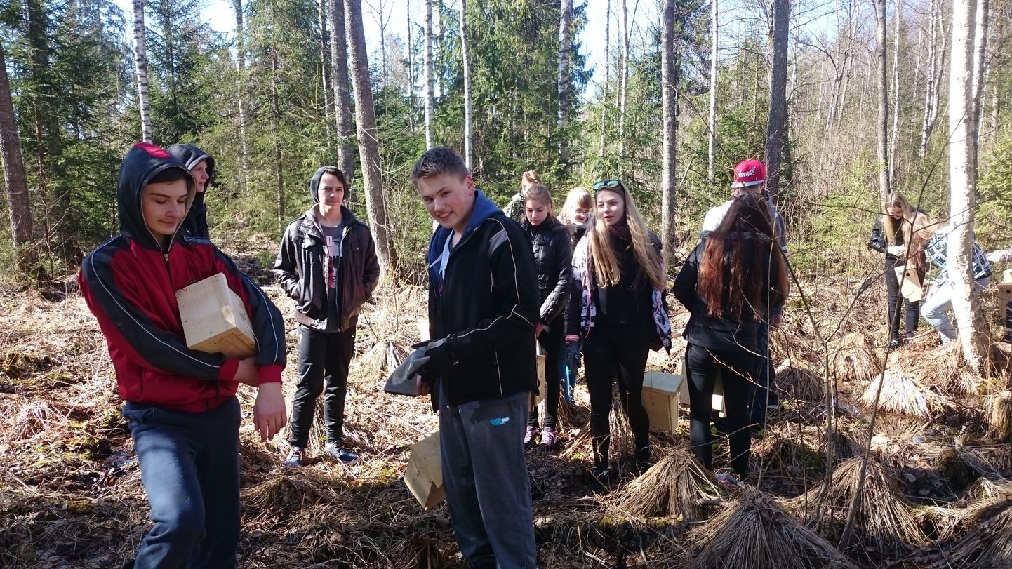 4. aprillil käisid Keeni põhikooli õpilased õpperetkel harvendusraie järgses metsas ja paigaldasid väikelindudele pesakaste.