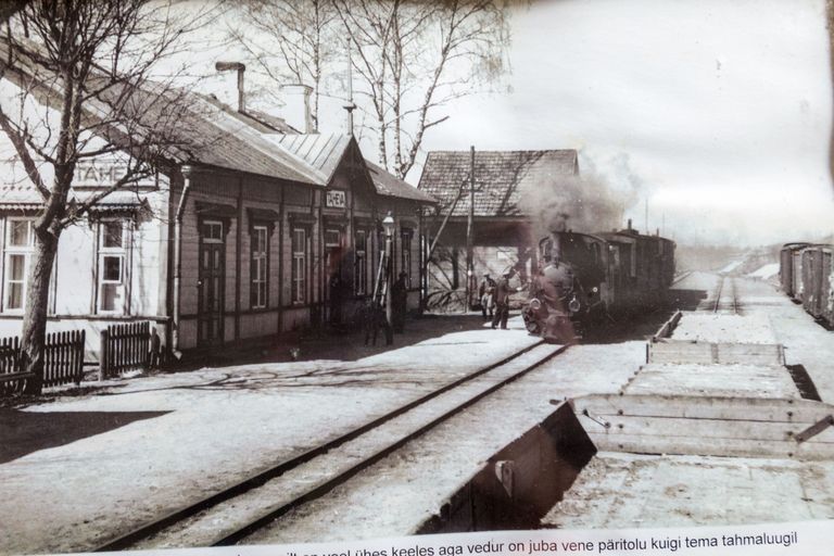 Taheva jaam ehitati aastatel 1900–1903 ning jaamaesisel oli kolm teed, lisaks tupiktee kaubaaida juurde. Rongiliiklust kasutasid nii kohalikud elanikud kui ka ettevõtted, kes jaamas metsamaterjali kaubavagunitesse laadisid. Raudteeliiklus suleti 1970. aastal. / Foto: Arvo Meeks/Valgamaalane