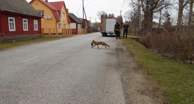 Фото: спасатели помогли выселить самовольную квартирантку