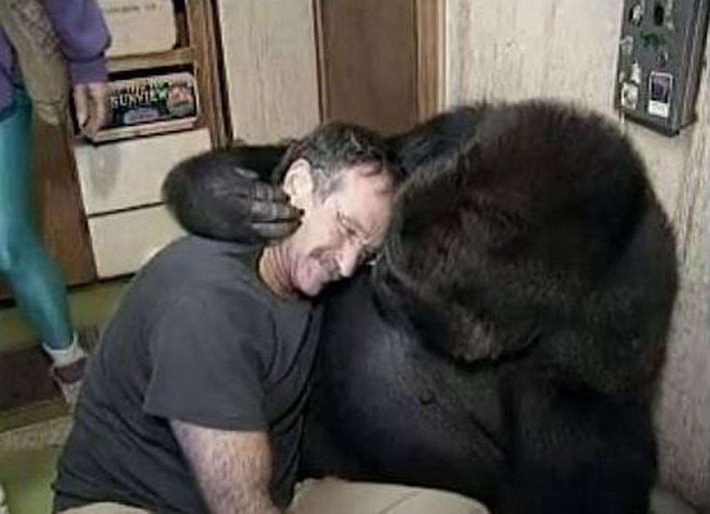 Robin Williams ja gorilla Koko