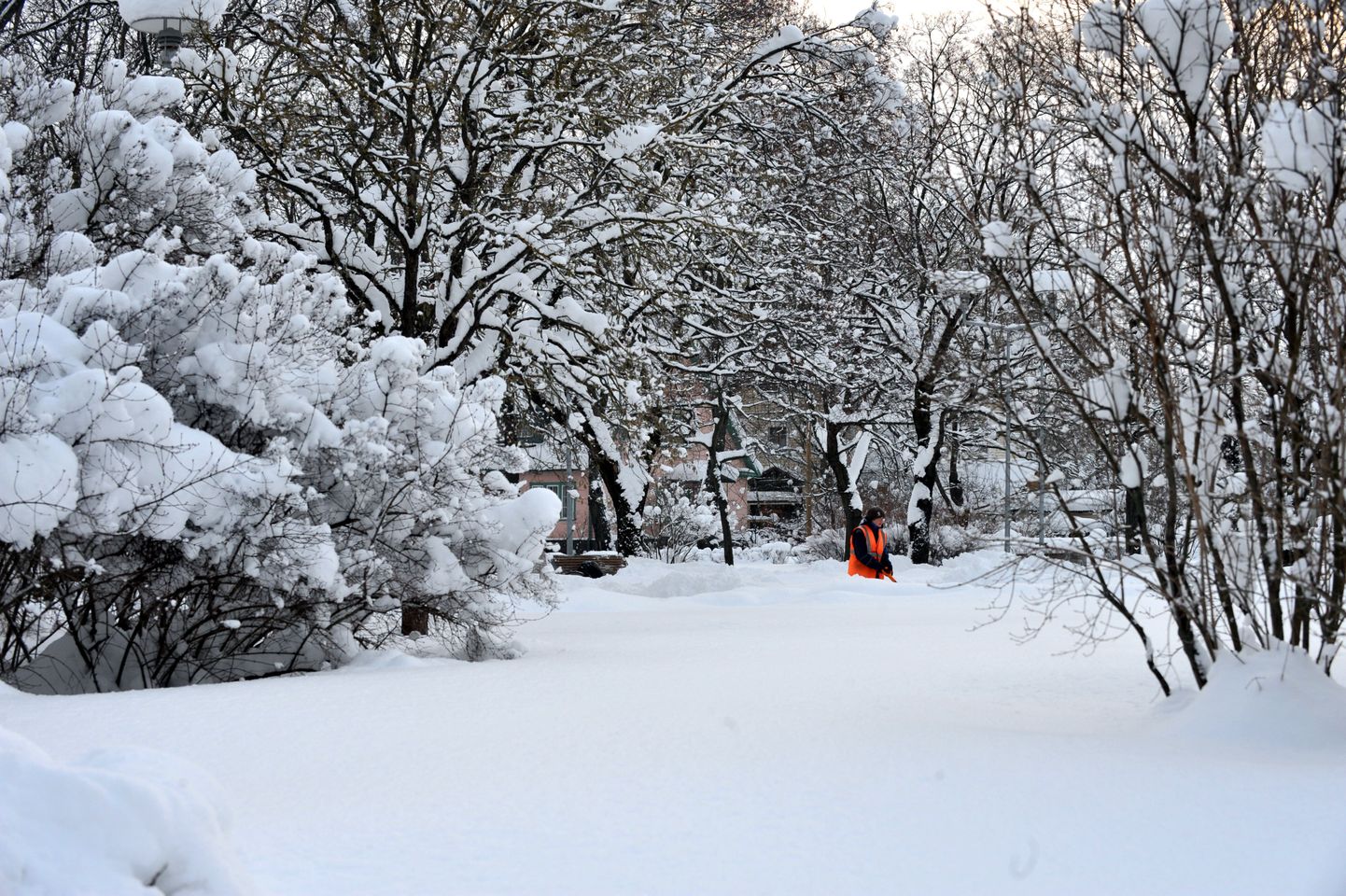 Lumme mattunud Tallinn