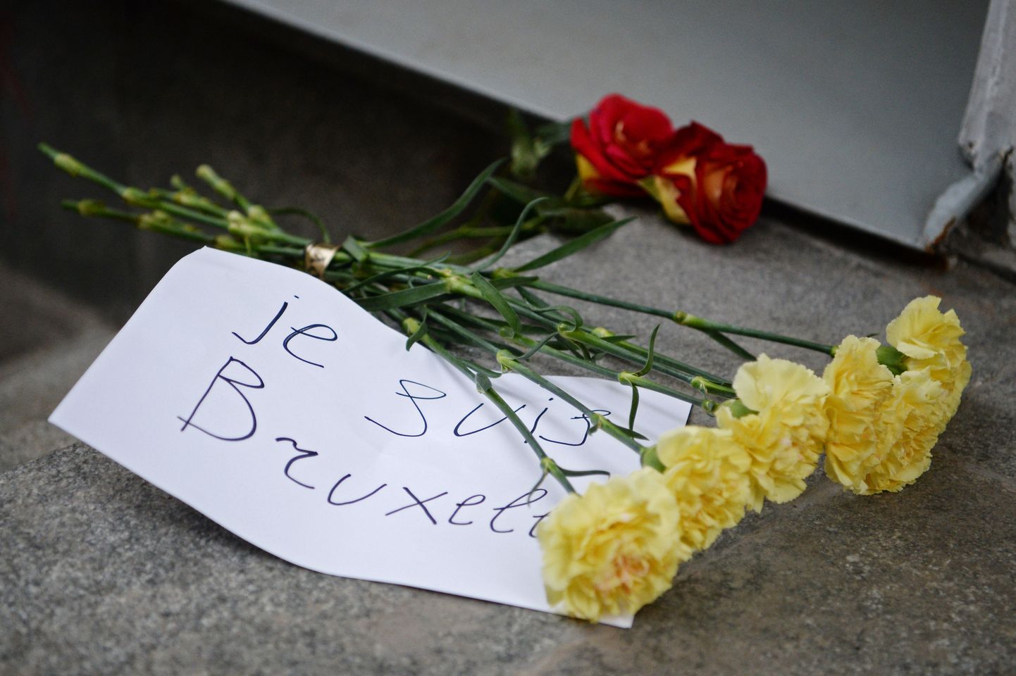Solidaarsusavaldus Brüsselis hukkunuile