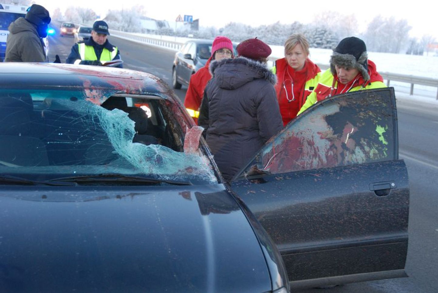 Tartumaal Räni alevikus hukkus autoga kokkupõrkes kits.