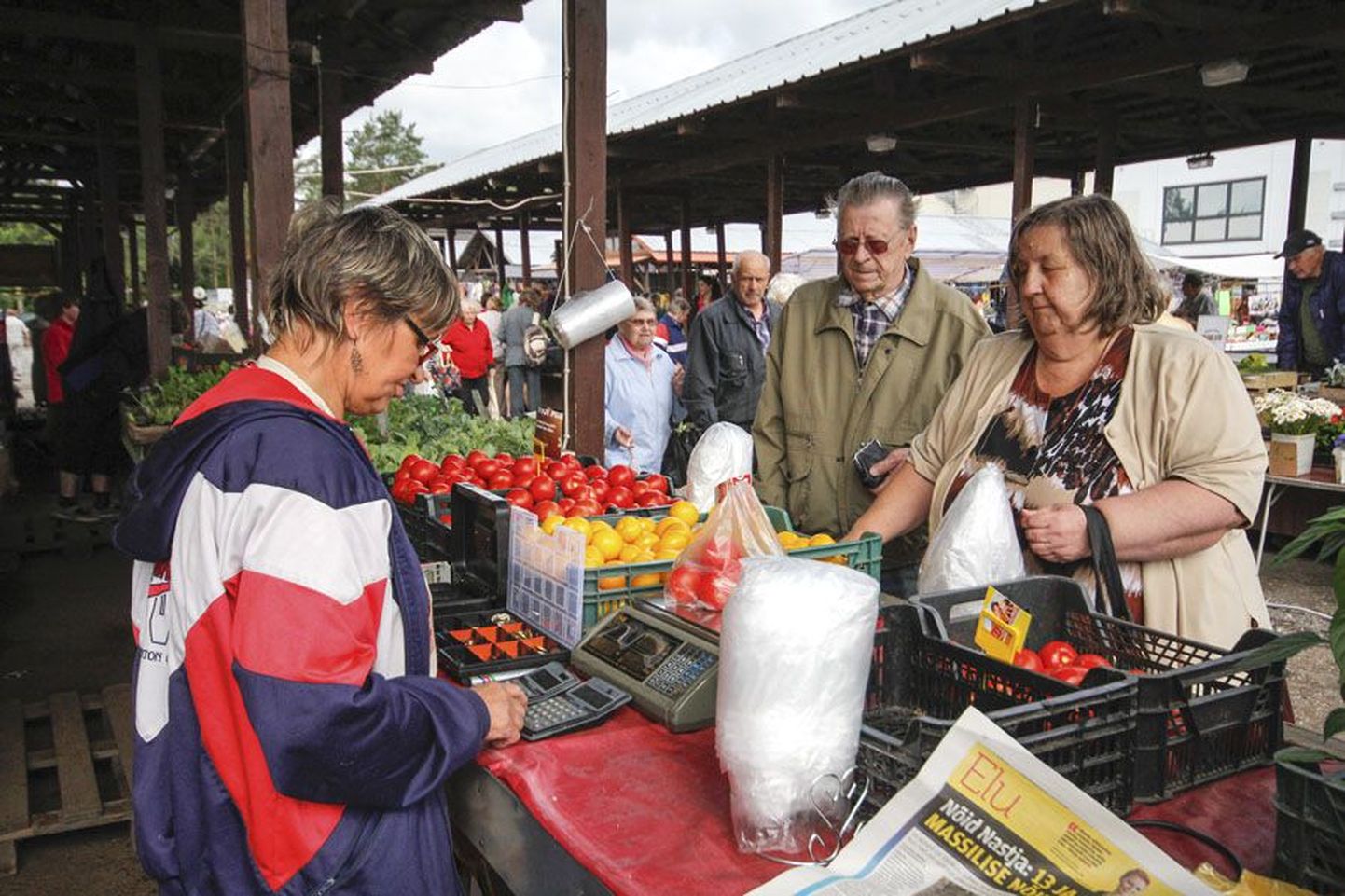 Müüja Mariika Kiivikase sõnul olid Holstre aiandi tomatid Viljandi turul minev kaup. Kui üks ports ostjaid oli nõutu kätte saanud, jäi tal vaid paar minutit hingetõmbeaega ja kohe olid järgmised platsis.