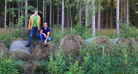 Small farmers scraping off ministerial rot aka Hay or Urmas