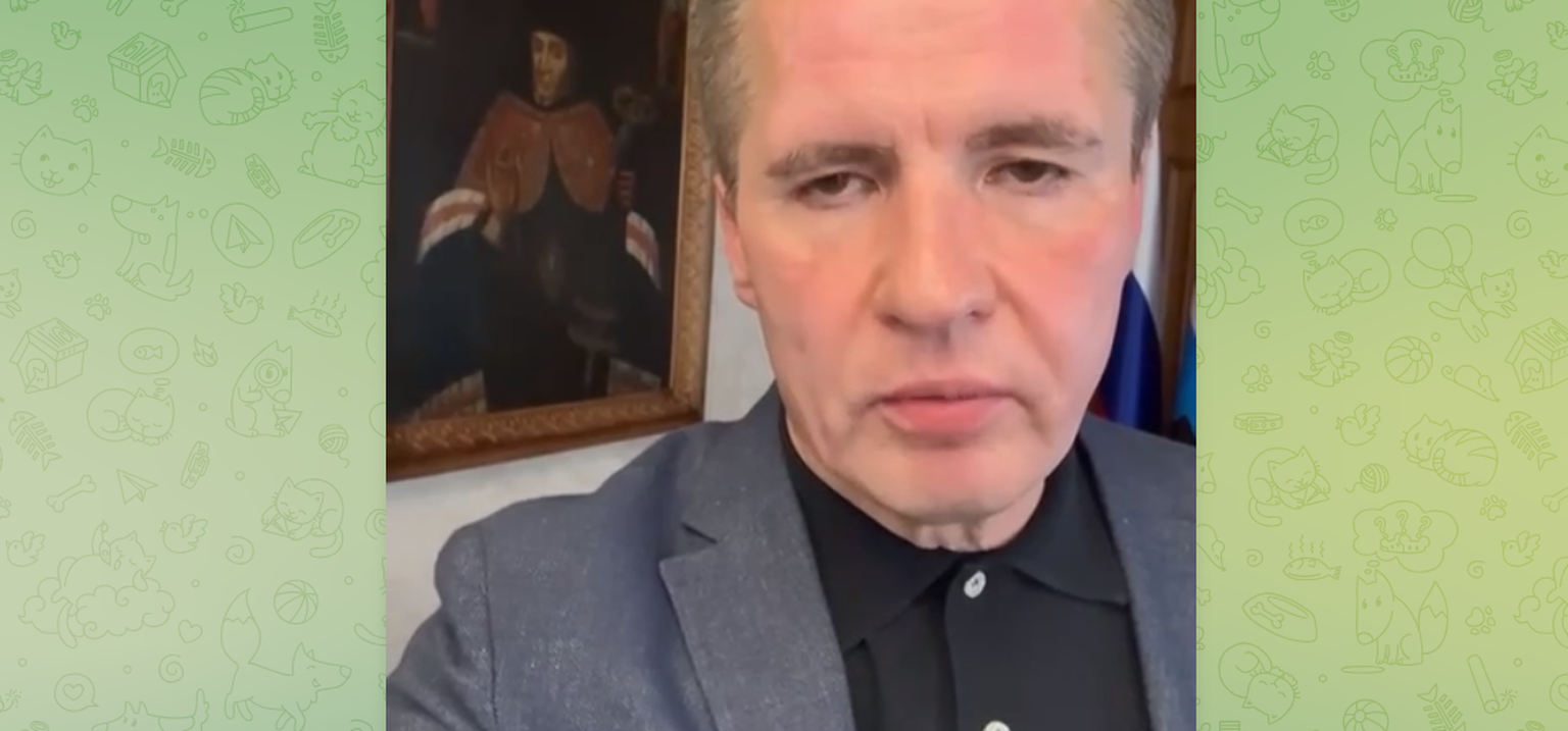 Глава Белгородской области Вячеслав Гладков