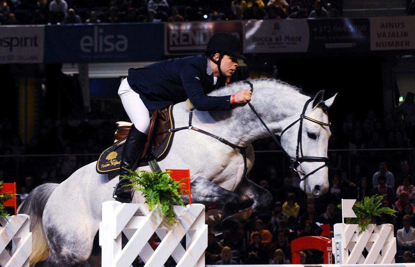 Tallinn International Horse Show’ viimasel ja kõige kaalukamal võistlusel saavutas eestlastest kõige kõrgema koha Hanno Ellermann hobusel Quality Time TN, kes ümberhüpete järel sai teise koha.