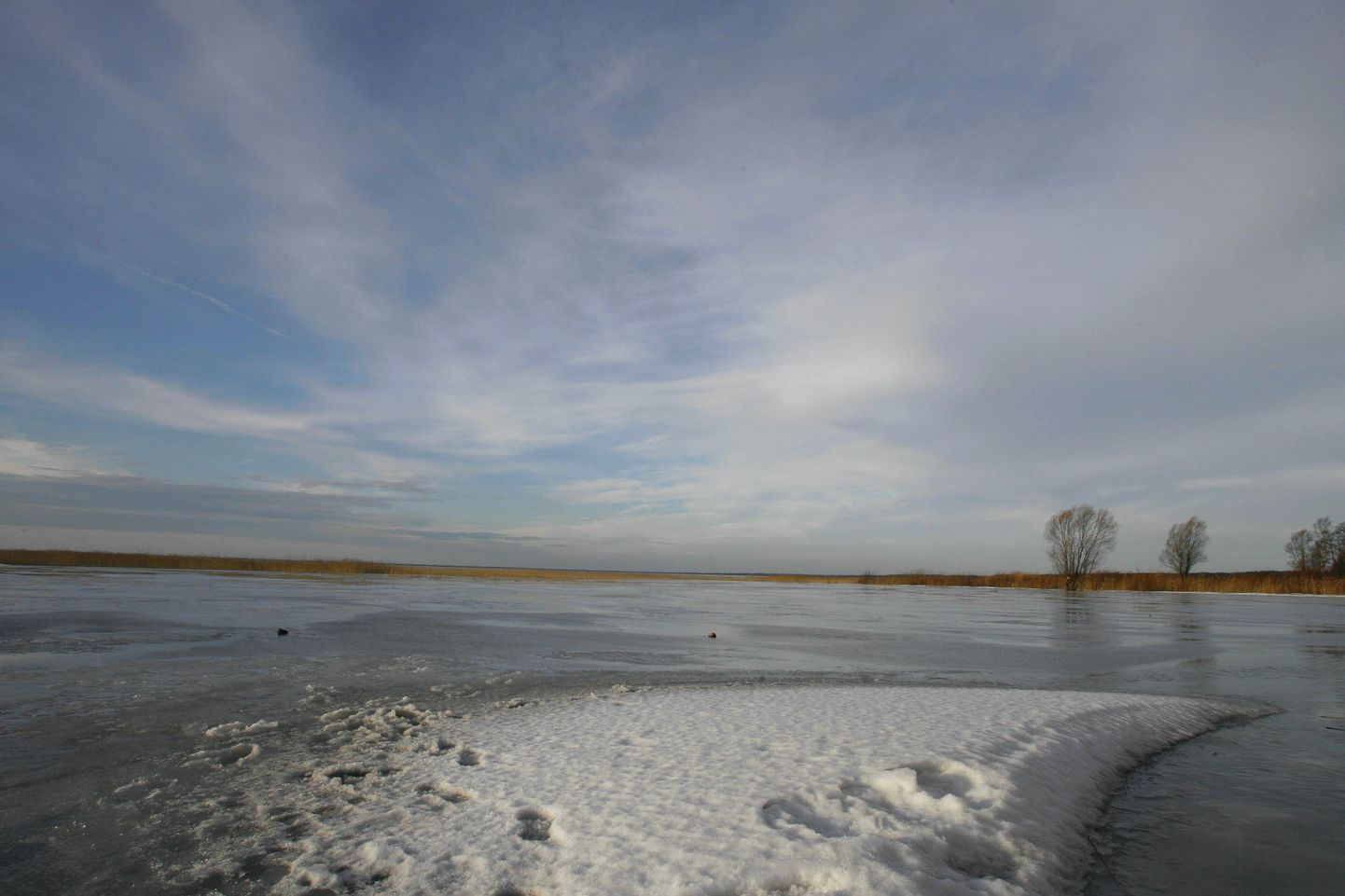 Poolemeetrise jääkihi all lagunev orgaaniline aine on järveveest hapniku ära kulutanud.