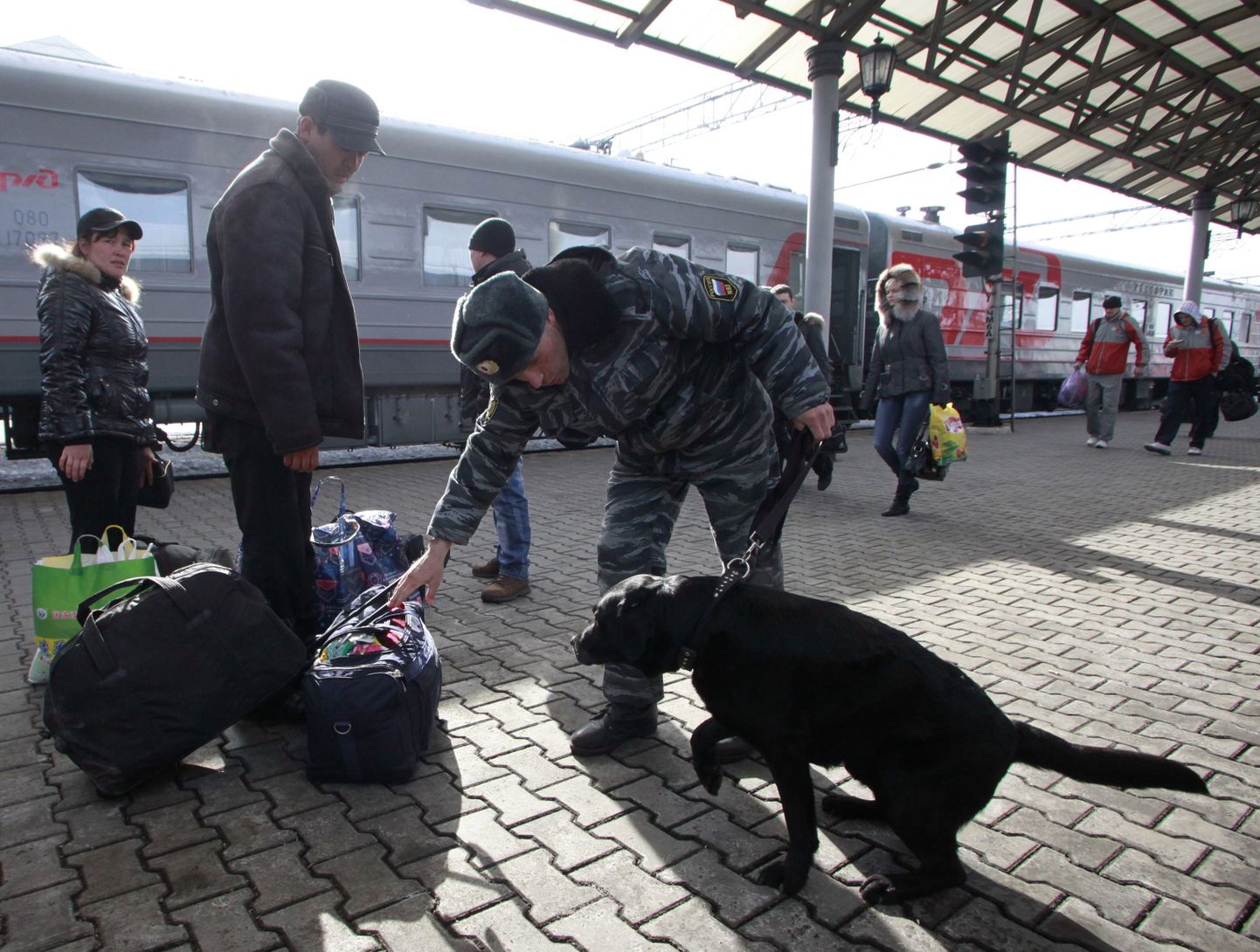 Miilits otsib reisijate pagasit läbi 5-aastase labradori Larry abil Krasnojarskis.