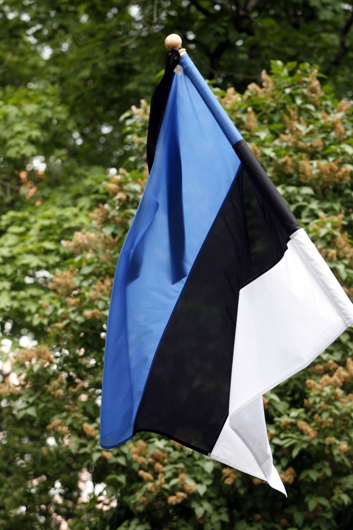 Reedel, 14. juunil on Eestis lipu- ja üleriigiline leinapäev.