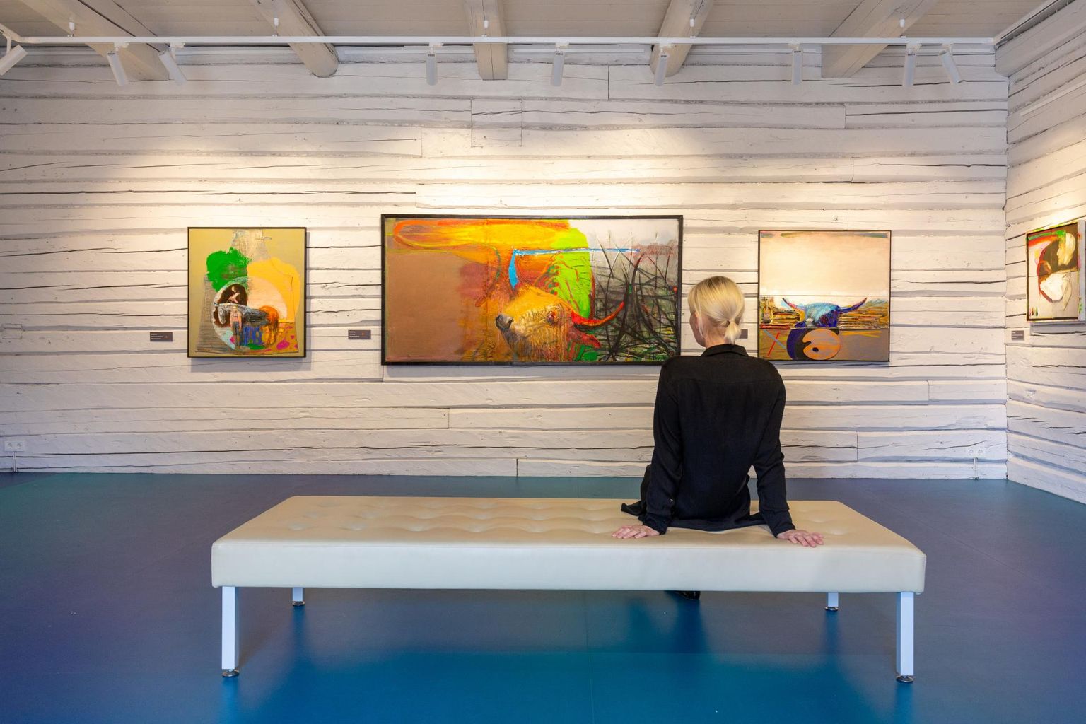 Kunstnik Tiit Pääsukese värskes maaliloomingus kordub härjamotiiv. Valik maale jõudis Viljandisse Tartust, kuid kunstnik eksponeerib ka uusi töid, mis on loodud spetsiaalselt Viljandi näituse tarvis.