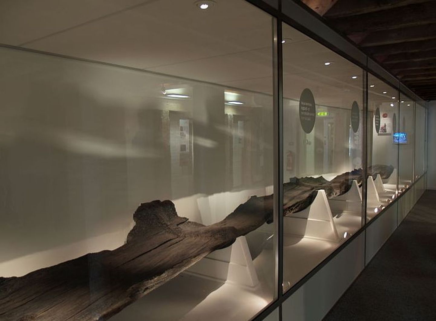 Poole´i sadamast leitud 2300 aasta vanuse tammepaadi jäänused